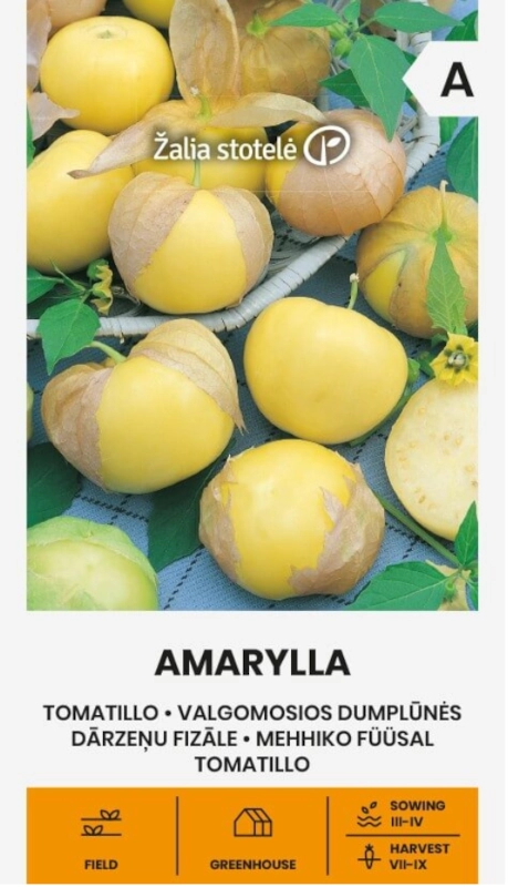 Miechunka pomidorowa Tomatillo Amarylla® odmiana o licznych dużych owocach nasiona 0,2g Žalia stotelė sklep rajogrodnika
